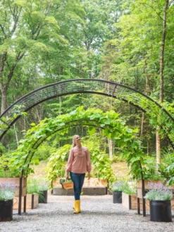 2’ X 8’ Arch Trellis For Planter Boxes 12 2’ X 8’ Arch Trellis For Planter Boxes -PlantJoy Store 8610798 071 tif