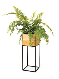 Tartu Elevated Square Planters -PlantJoy Store 8611006 033