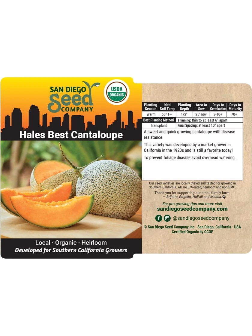 Hales Best Cantaloupe Organic Seeds 3 Hales Best Cantaloupe Organic Seeds - Image 3