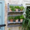 VegTrug® Herb Rack