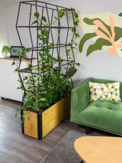 Self-Watering Partition Planter -PlantJoy Store 8611952 001 tif