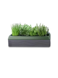 Provence Self-Watering Herb Planter -PlantJoy Store 8611965 03V tif