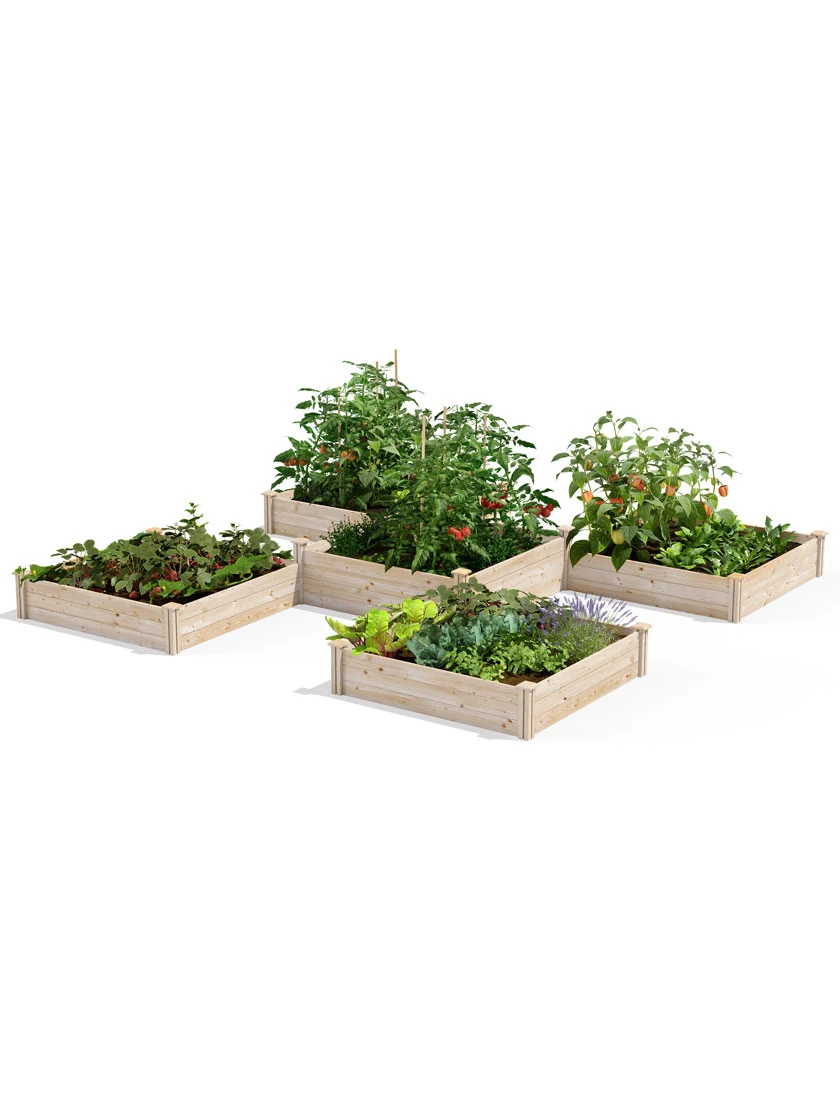 2-Tier Pine Raised Garden Bed, 80 Sqft.12'x12' 1 2-Tier Pine Raised Garden Bed, 80 Sqft.12'x12'
