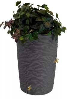Impressions Palm 50 Gallon Rain Saver -PlantJoy Store 8612305 01V jpg