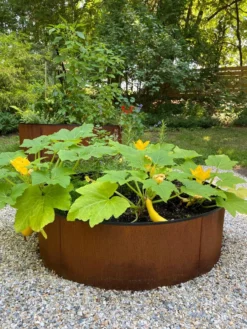 Birdies™ Corten Steel Round Raised Beds -PlantJoy Store 8612422 0484 tif