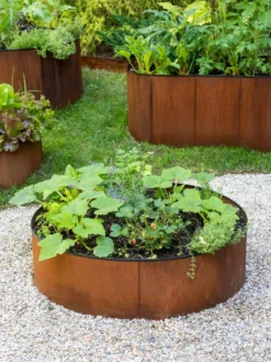 Birdies™ Corten Steel Round Raised Beds -PlantJoy Store 8612422 1527 tif