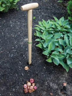 Wicked Big Dibber -PlantJoy Store 8612667 0028