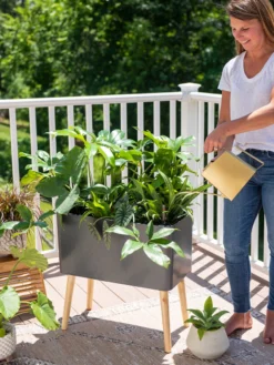 Ava Self-Watering Rectangular Planter 11 Ava Self-Watering Rectangular Planter -PlantJoy Store 8612691 0011