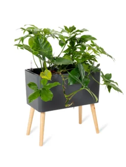 Ava Self-Watering Rectangular Planter 12 Ava Self-Watering Rectangular Planter -PlantJoy Store 8612691 0013