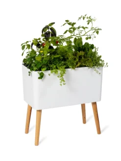 Ava Self-Watering Rectangular Planter 13 Ava Self-Watering Rectangular Planter -PlantJoy Store 8612691 0014