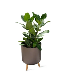 Ava Self-Watering Round Planter -PlantJoy Store 8612692 0003