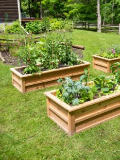 Craftsbury Raised Beds