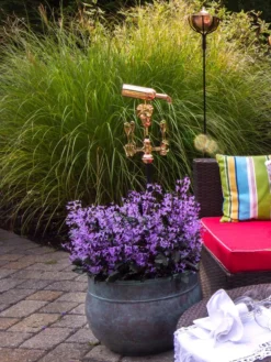 Sonoma Hose Pot -PlantJoy Store 8612733 02V tif