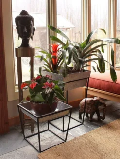 Achla Designs Arne Plant Stand -PlantJoy Store 8612900 03v