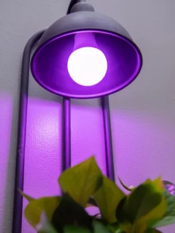 Kira Grow Light Hanging Planter -PlantJoy Store 8613232 5663