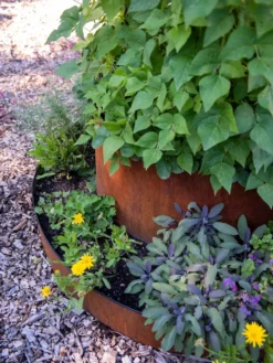 Birdies™ Corten Steel Tiered Round Raised Bed Kit, Tall 6 Birdies™ Corten Steel Tiered Round Raised Bed Kit, Tall -PlantJoy Store 8613245 0195