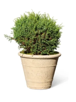 Self-Watering LavaStone® Anson Pot -PlantJoy Store 8613255 0150