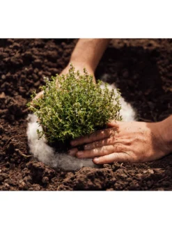 Hortiwool ®, 5 Pad Pack -PlantJoy Store 8613263 06v