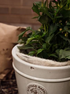 Hortiwool ®, 5 Pad Pack -PlantJoy Store 8613263 17v