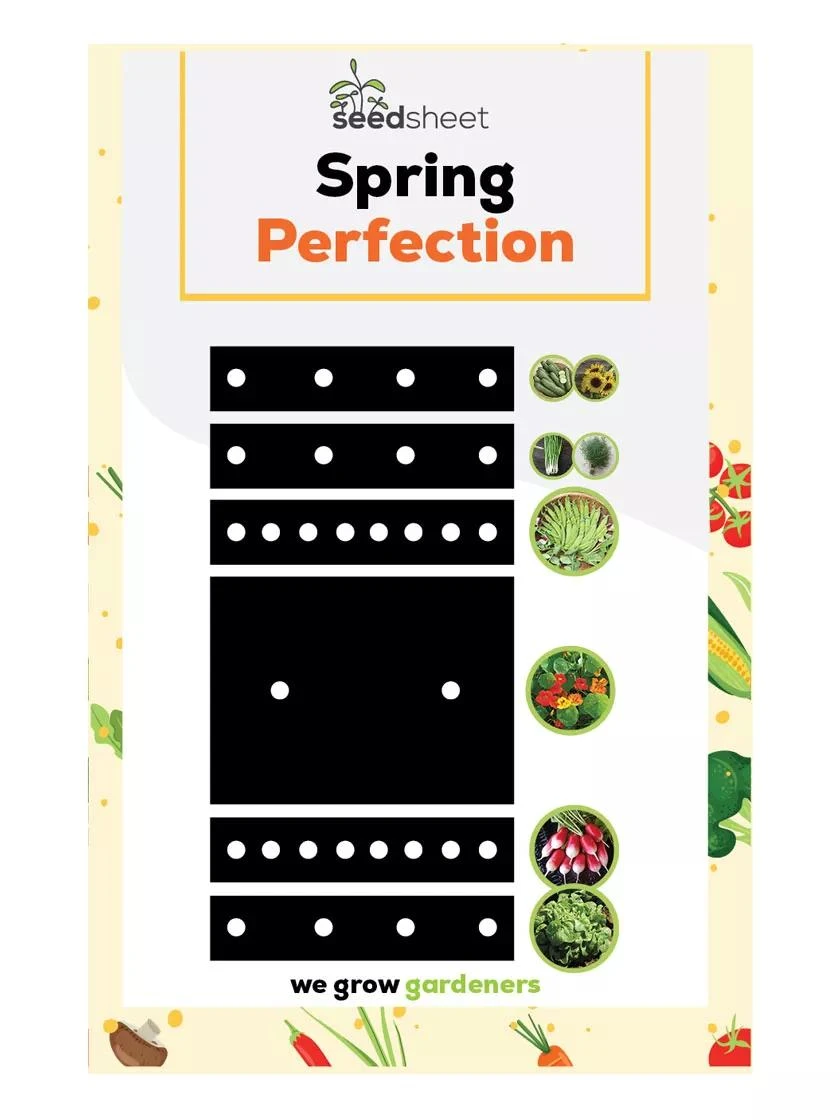 SeedSheets Organic Vegetable Garden, Spring Perfection, 4' X 8' 2 SeedSheets Organic Vegetable Garden, Spring Perfection, 4' X 8' - Image 2