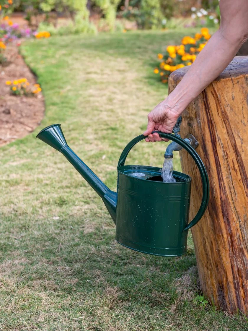 Long Reach Watering Can, Medium 1 Long Reach Watering Can, Medium