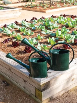 Long Reach Watering Can, Large -PlantJoy Store 8613346 0148 1