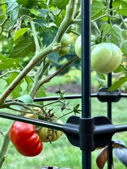 Oasis Self-Watering Tomato Planter With Trellis -PlantJoy Store 8613440 01TEST