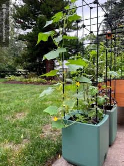 Oasis Self-Watering Tomato Planter With Trellis -PlantJoy Store 8613440 02TEST