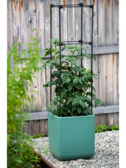 Oasis Self-Watering Tomato Planter With Trellis -PlantJoy Store 8613440 0373 3 4