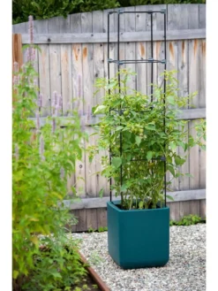 Oasis Self-Watering Tomato Planter With Trellis -PlantJoy Store 8613440 0376 3 4 1