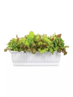 31" Self-Watering Window Box 5 31" Self-Watering Window Box -PlantJoy Store GS36523 01Z 3 4