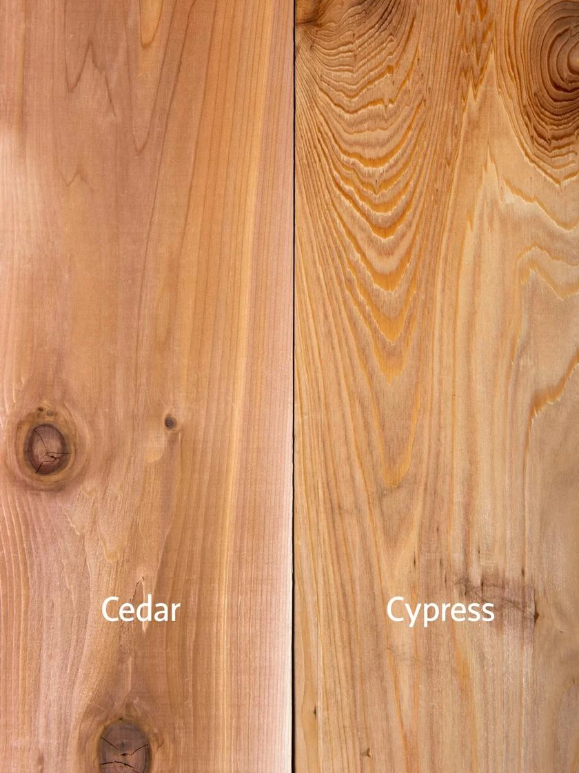 Pest-Free Garden 6 Pest-Free Garden - Image 6