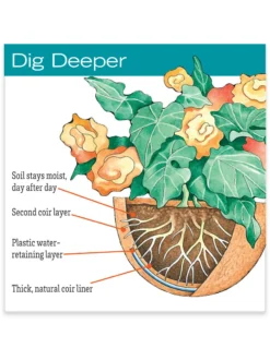 AquaSav™ Replacement Liners, Set Of 3 6 AquaSav™ Replacement Liners, Set Of 3 -PlantJoy Store hiw 38 583