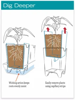 Stoneware Self-Watering Windowsill Planters, Set Of 2 -PlantJoy Store hiw 8593943 jpg