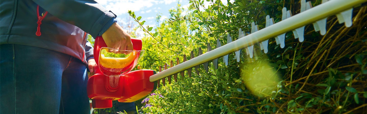 Front Page -PlantJoy Store banner350